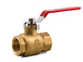 06-844 ---Ball-Valve-FNPT