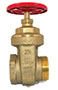 S-F07 - Gate Hose Valve FNPT x Hose